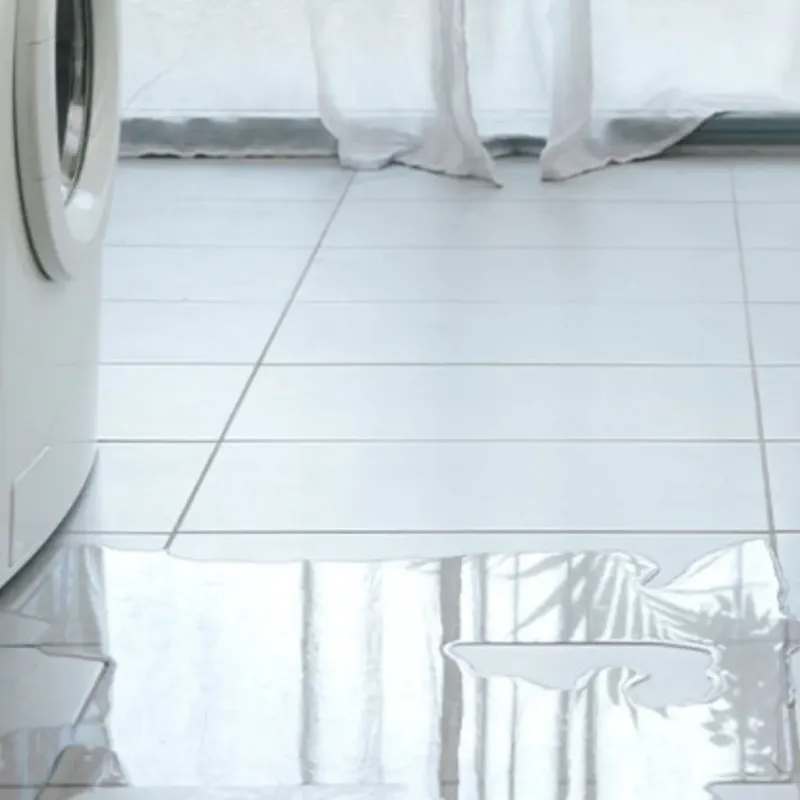 Appliance Leak Cleanup in Kent County, MD